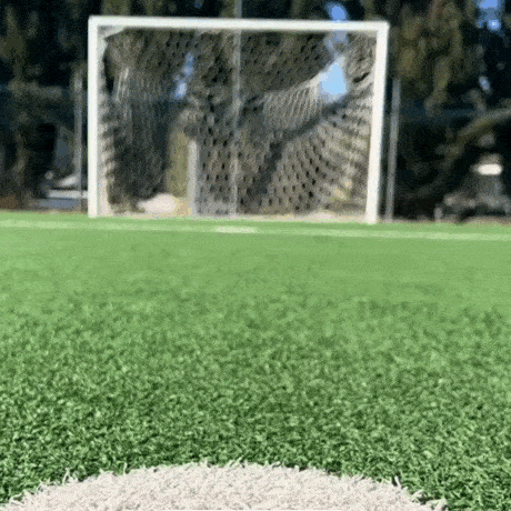 Elite Performance Carbon Insoles